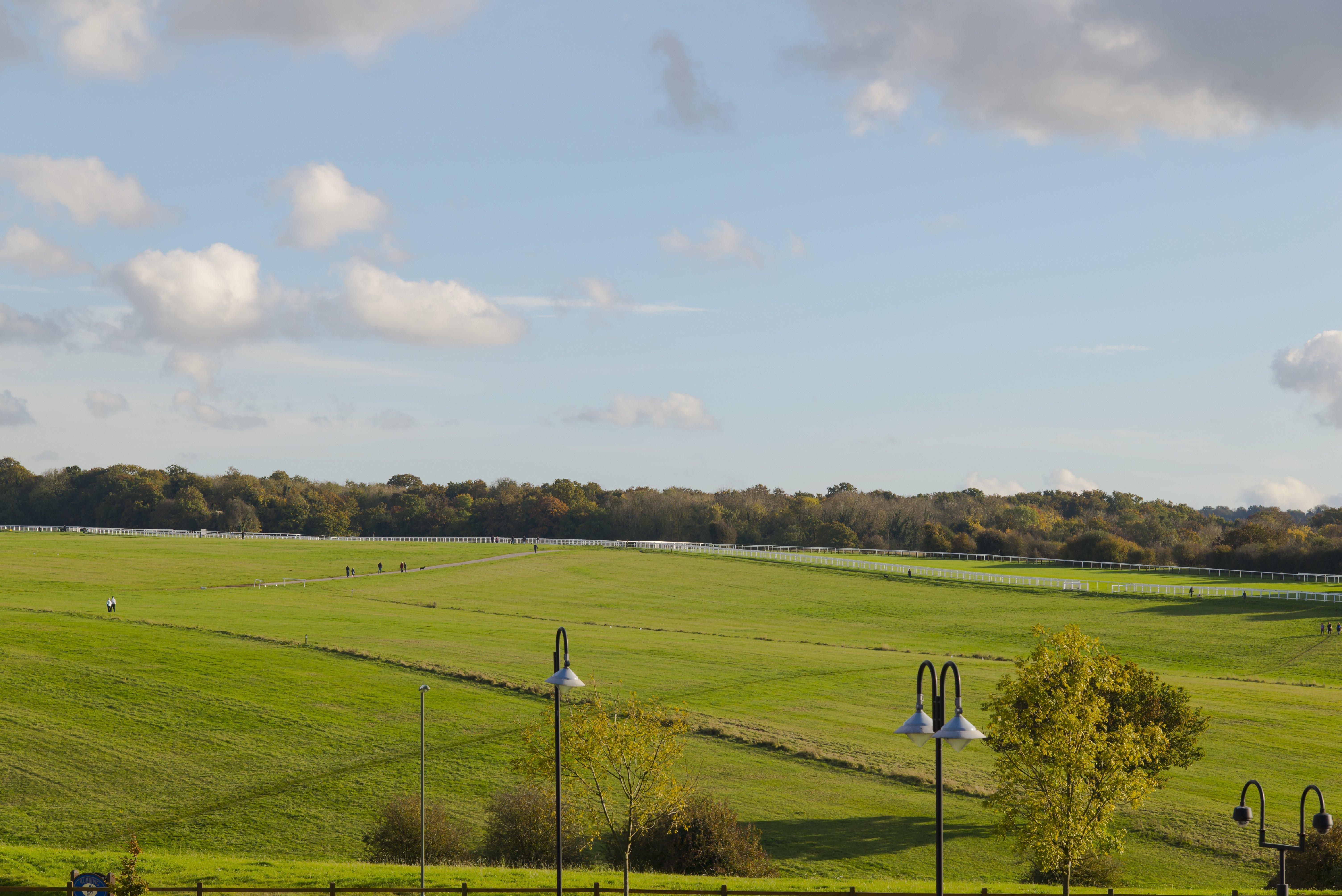 Holiday Inn Express London - Epsom Downs By Ihg Dış mekan fotoğraf