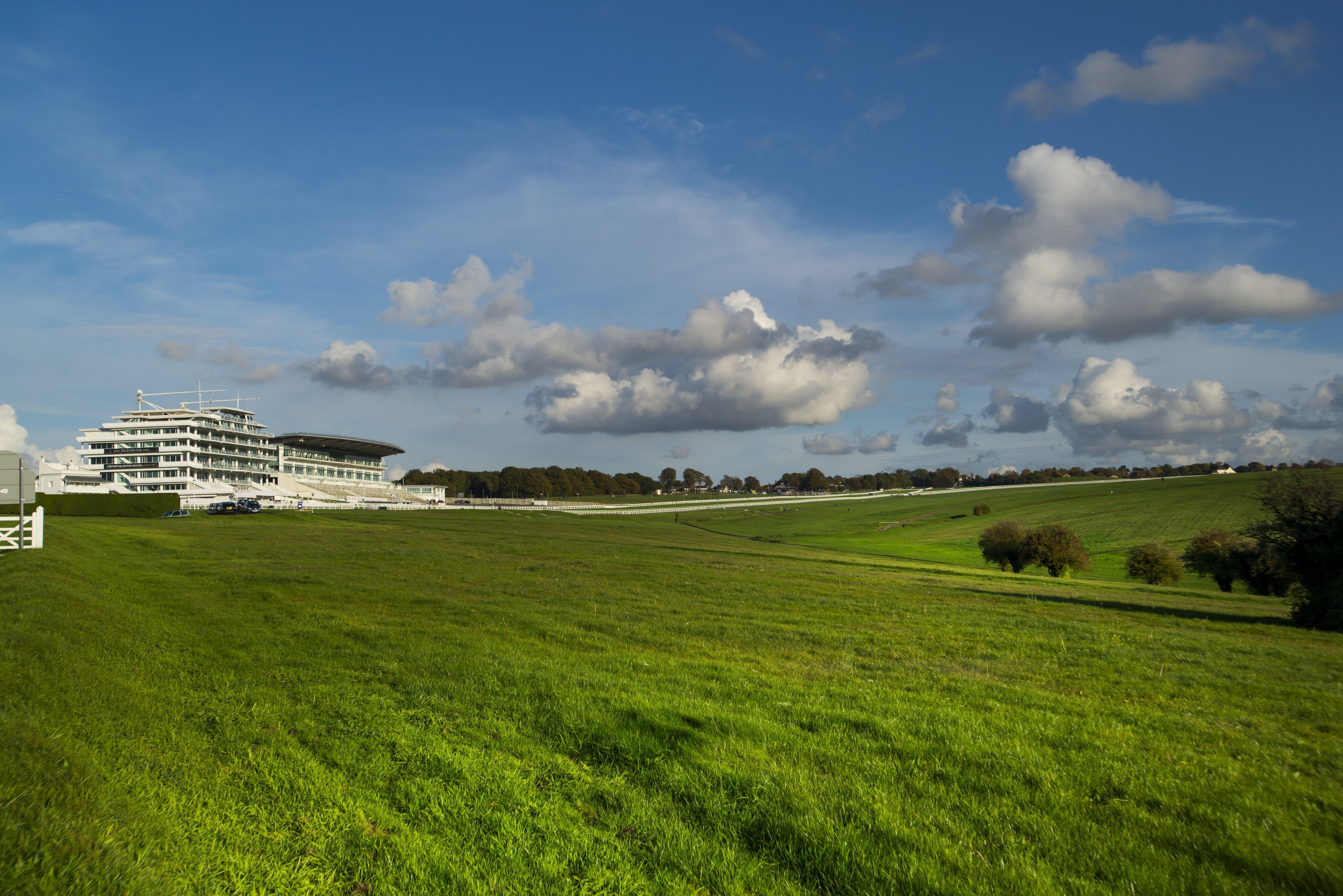 Holiday Inn Express London - Epsom Downs By Ihg Dış mekan fotoğraf